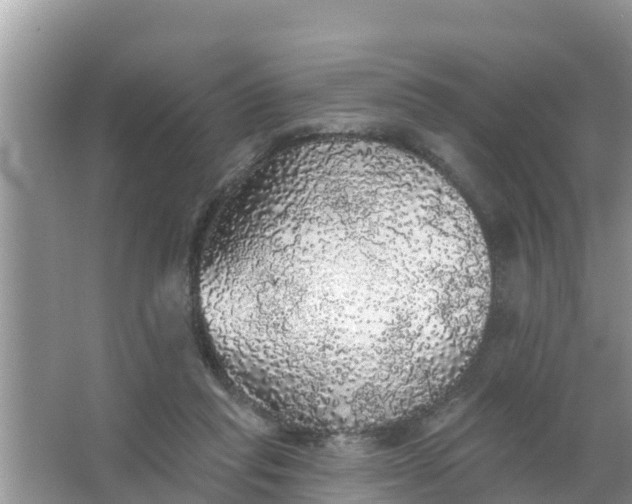 X0000066970261200604072038