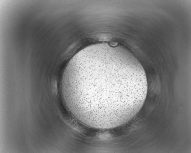 X0000066970262200604072038