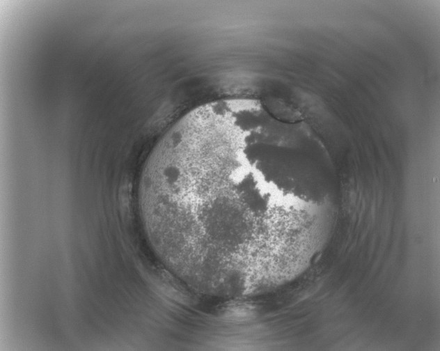 X0000066970263200604072038