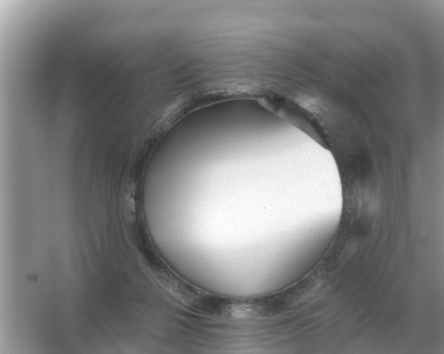 X0000066970264200604072038