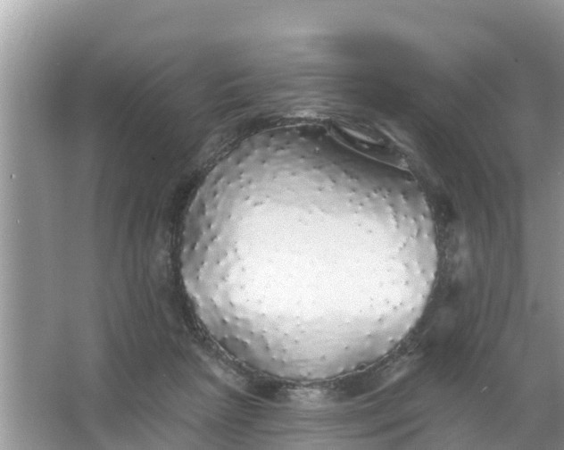 X0000066970265200604072038