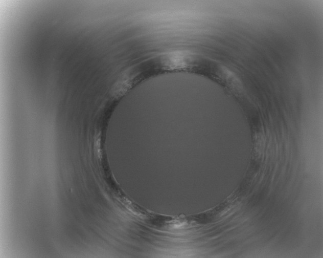 X0000066970267200604072038