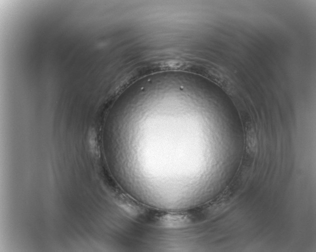 X0000066970270200604072038