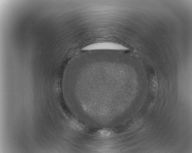 X0000066970272200604072038