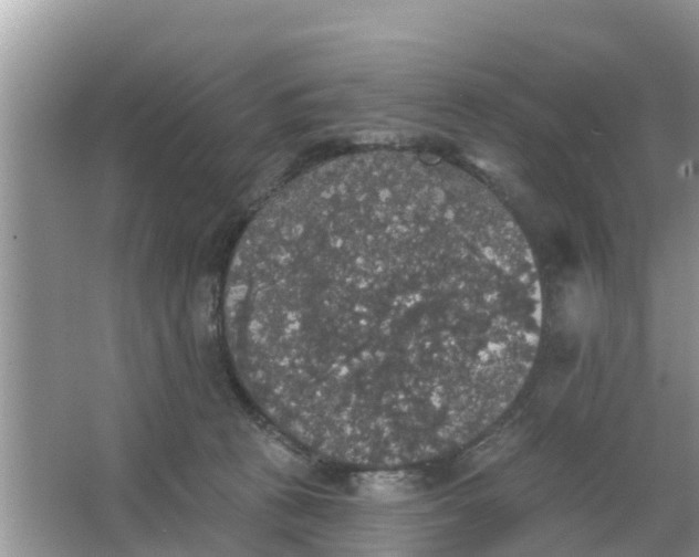 X0000066970273200604072038