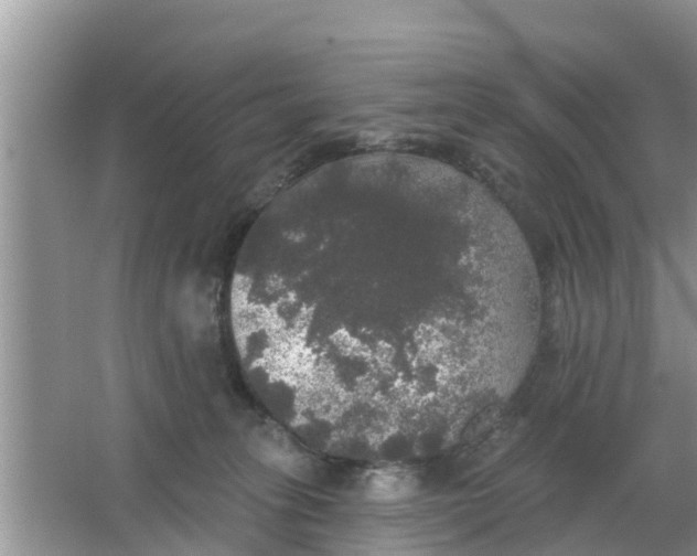 X0000066970275200604072038