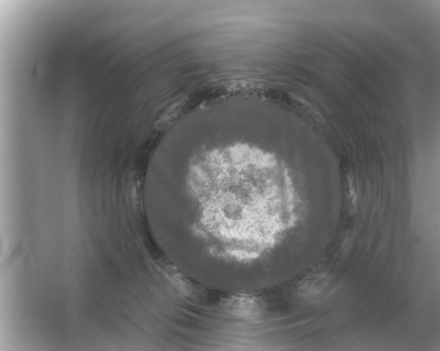 X0000066970276200604072038