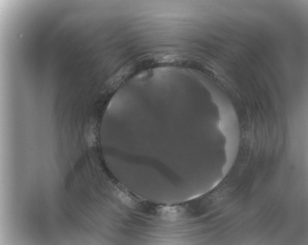 X0000066970277200604072038