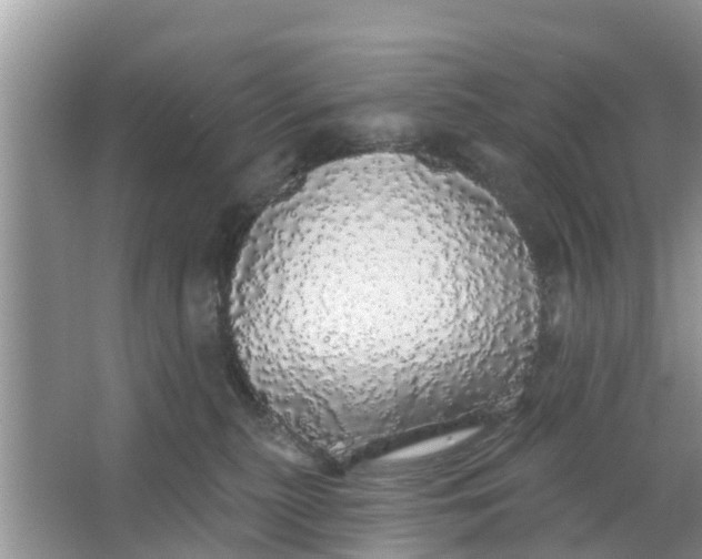 X0000066970279200604072038