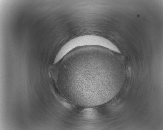 X0000066970280200604072038