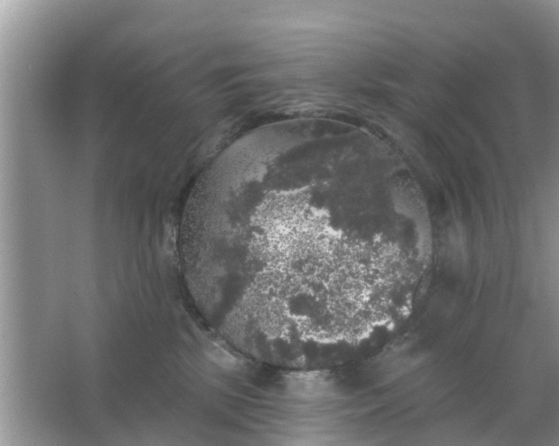 X0000066970281200604072038