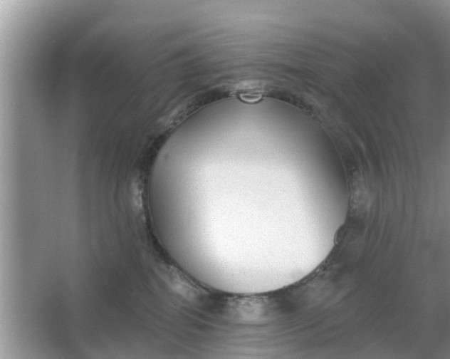 X0000066970282200604072038