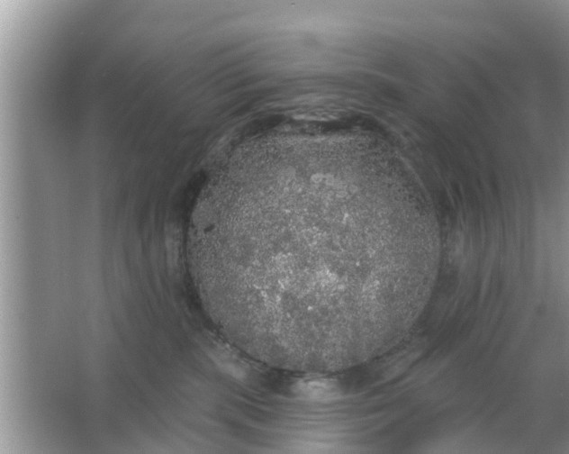 X0000066970283200604072038