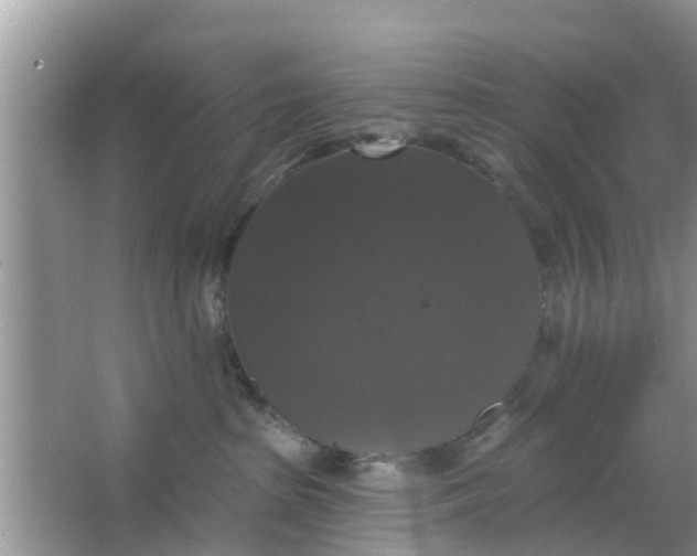 X0000066970285200604072038