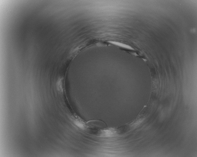 X0000066970286200604072038