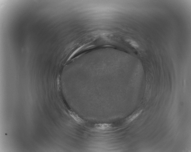 X0000066970288200604072038