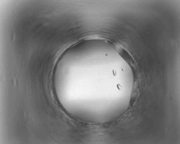 X0000066970289200604072037