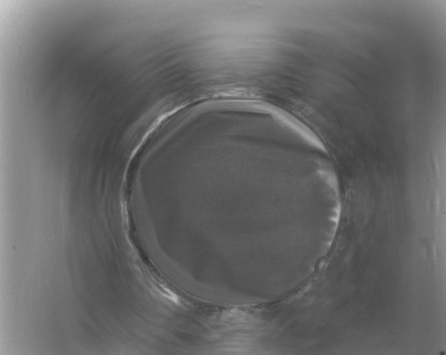 X0000066970290200604072037