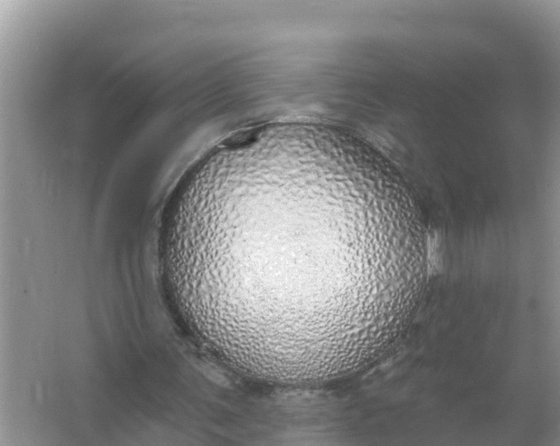 X0000066970291200604072037