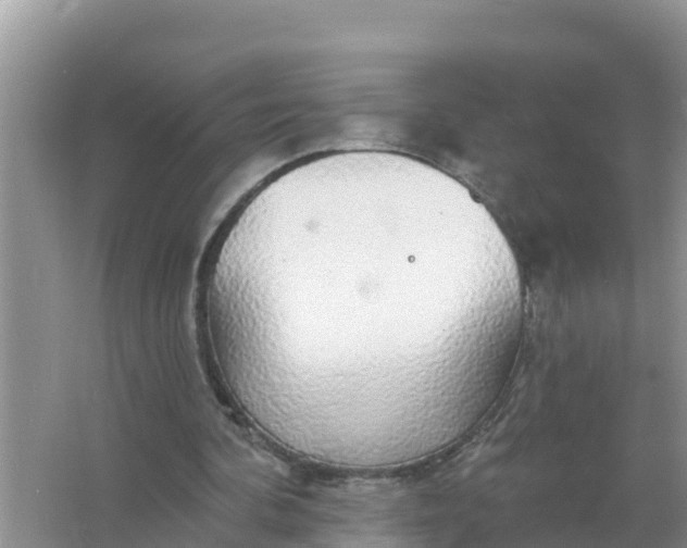 X0000066970292200604072037