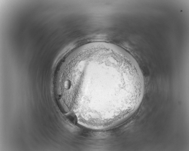 X0000066970293200604072037