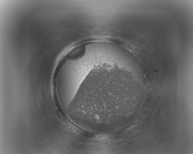 X0000066970294200604072037