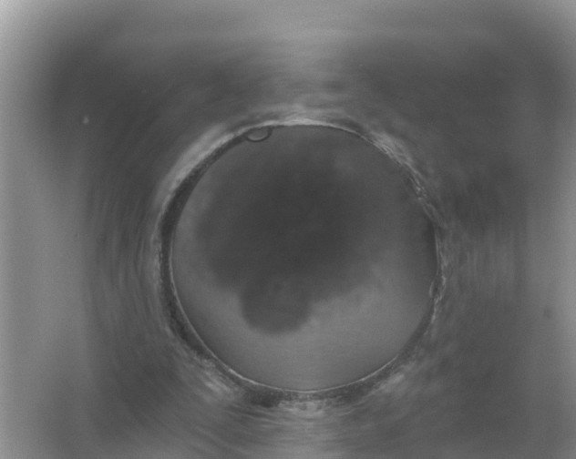 X0000066970295200604072037