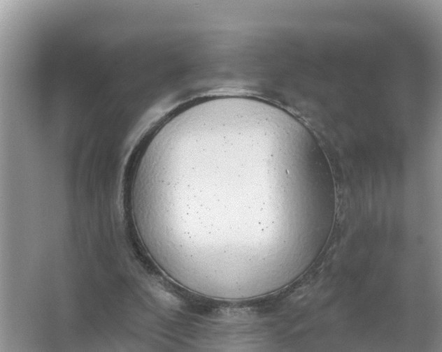 X0000066970296200604072037