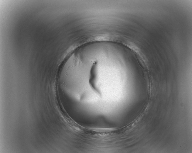 X0000066970297200604072037