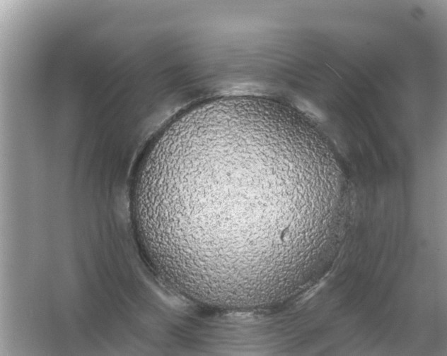 X0000066970298200604072037