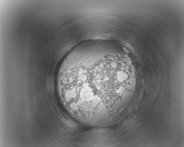 X0000066970299200604072037