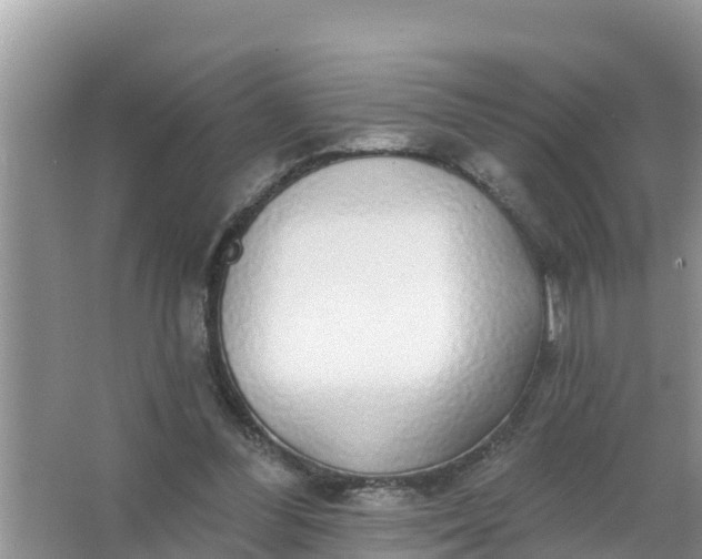 X0000066970300200604072037