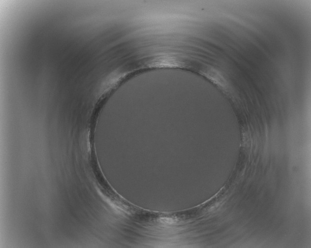 X0000066970302200604072037