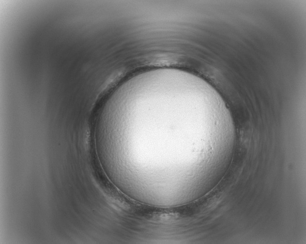 X0000066970304200604072037