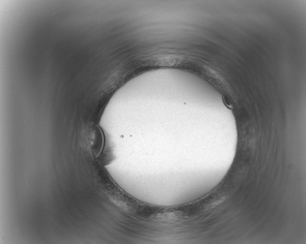 X0000066970307200604072037