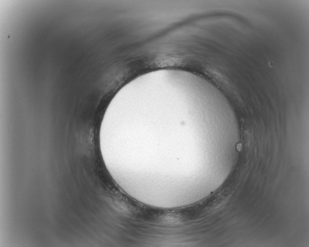 X0000066970308200604072037