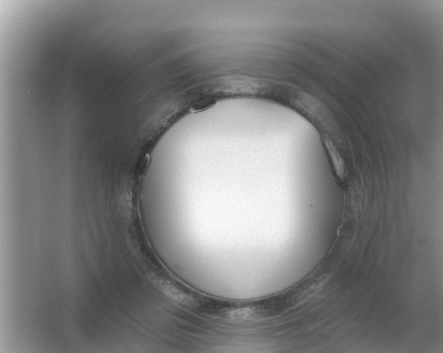 X0000066970309200604072037