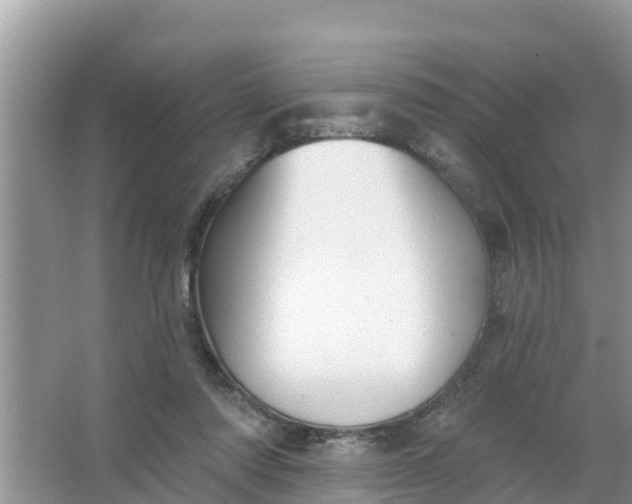 X0000066970310200604072037