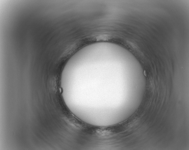 X0000066970311200604072037