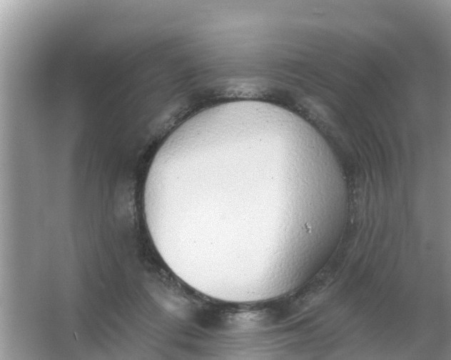 X0000066970312200604072037