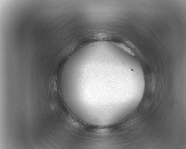 X0000066970313200604072037