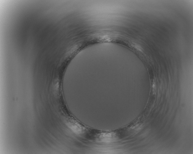 X0000066970314200604072037