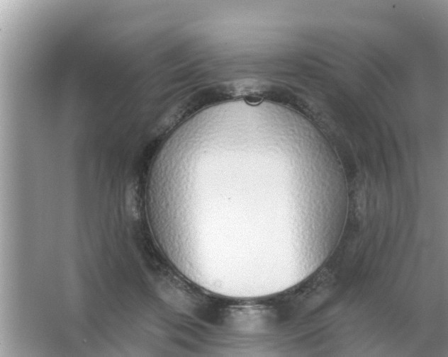 X0000066970316200604072037