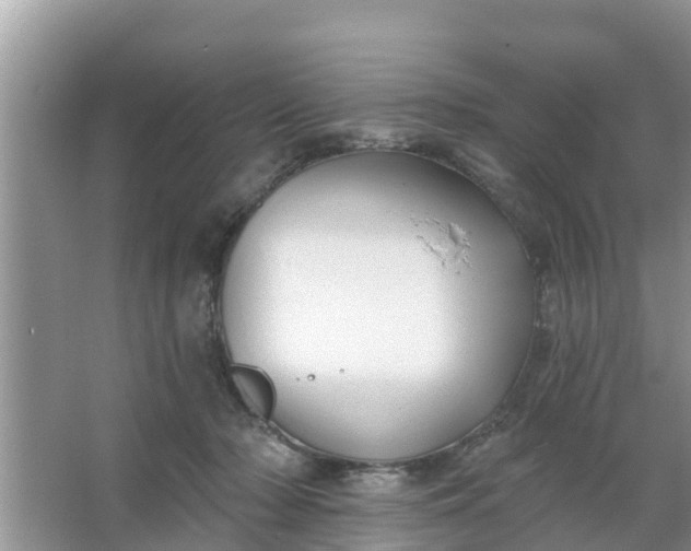 X0000066970318200604072037