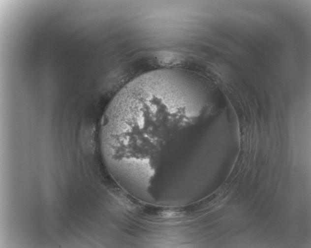 X0000066970319200604072037