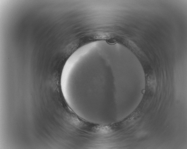 X0000066970322200604072037