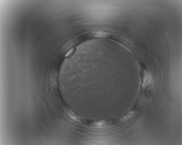 X0000066970325200604072037