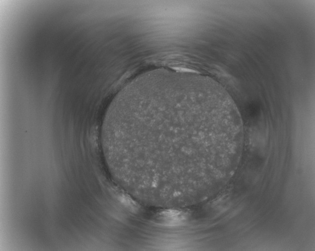 X0000066970326200604072037