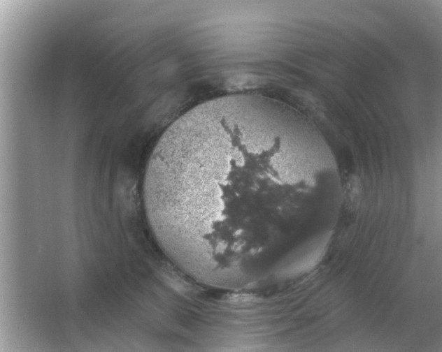 X0000066970327200604072037