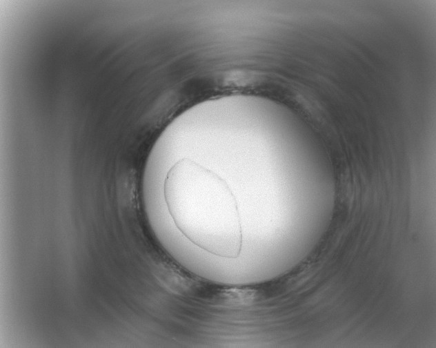 X0000066970328200604072037